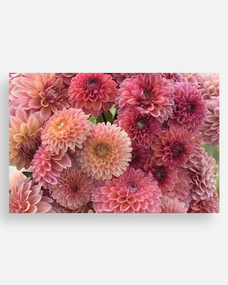 Plain Note Cards Sweet Blossoms LLC