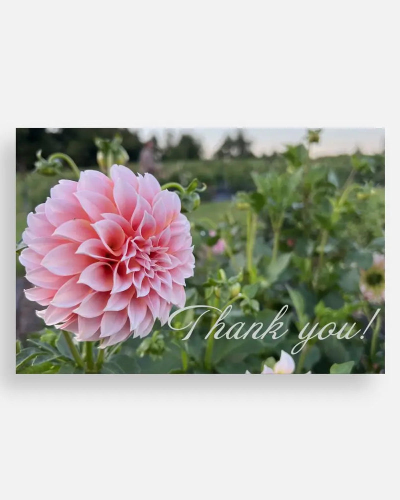 Thank You Note Cards Sweet Blossoms LLC