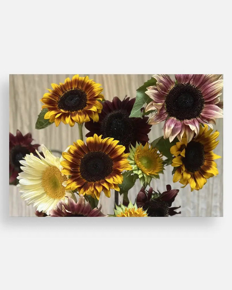 Plain Note Cards Sweet Blossoms LLC