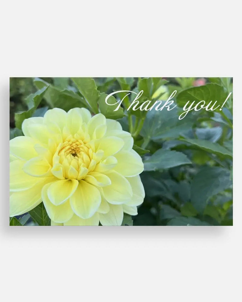 Thank You Note Cards Sweet Blossoms LLC